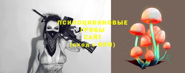мяу мяу мука Армянск