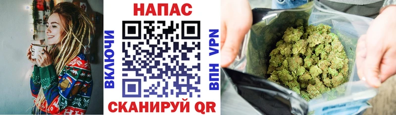Марихуана сатива  Пролетарск 